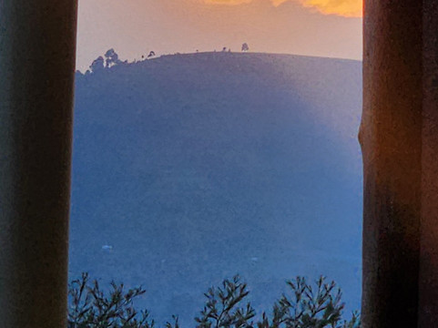 Amplify Tours and Travel