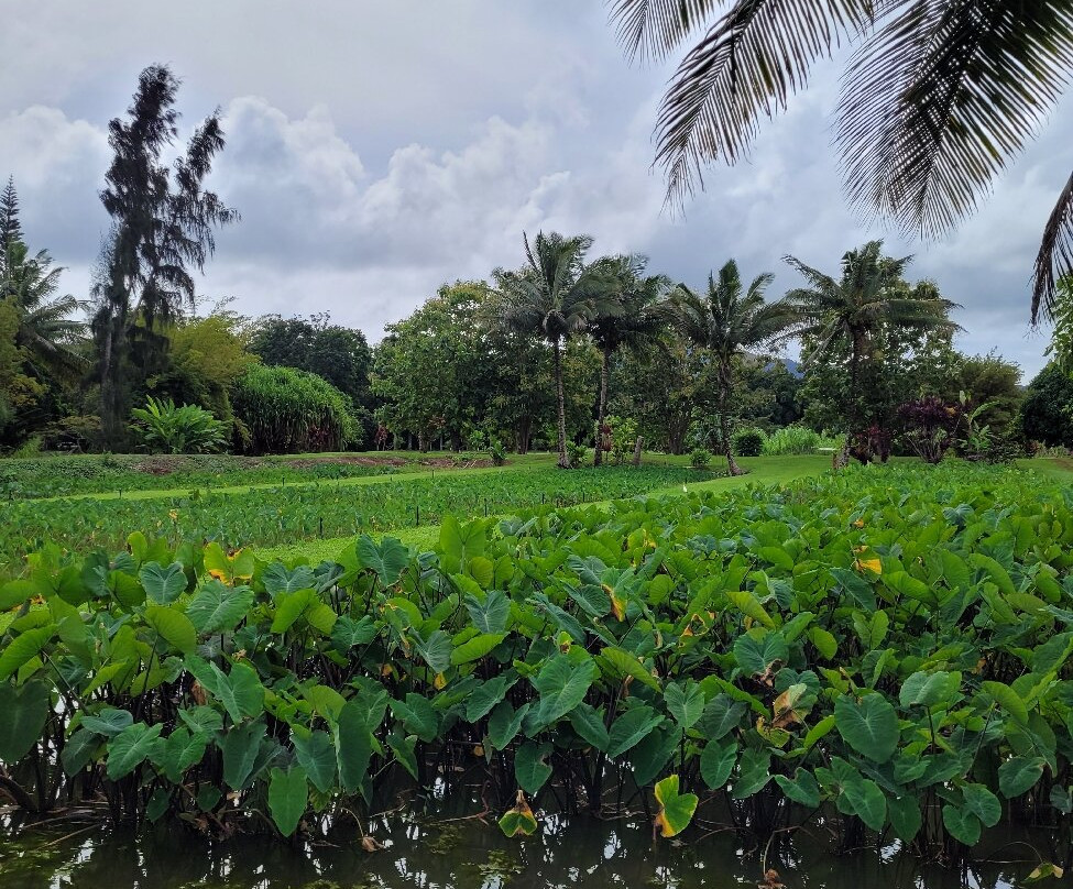 Kauai Plantation Railway-利胡埃必去景点