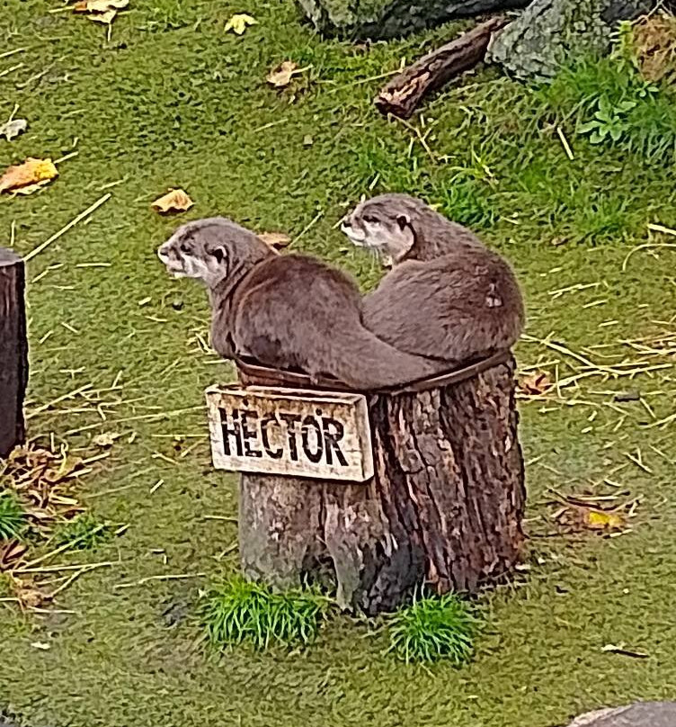 Sea Life Blankenberge-布朗肯堡必去景点