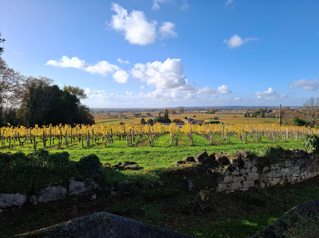 Chateau Franc Mayne-圣埃美隆必去景点