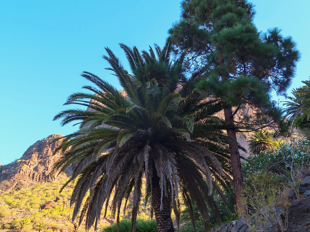 Adventures Tenerife-La Esperanza必去景点