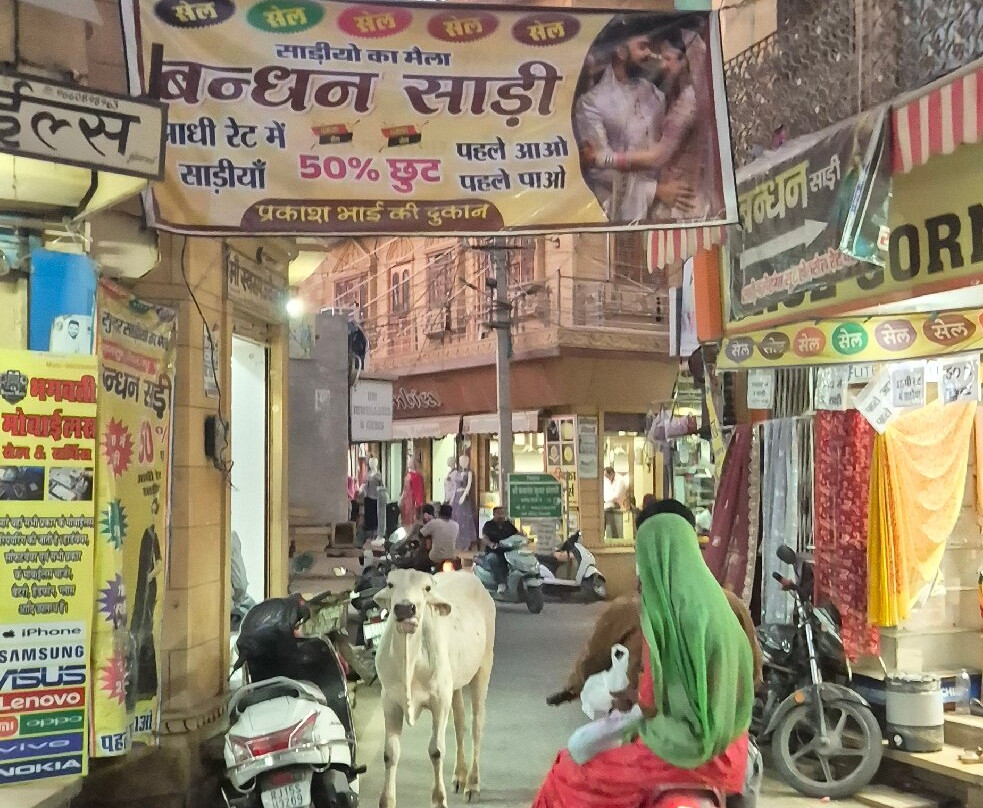 Hotel Lal Garh Fort And Palace主图