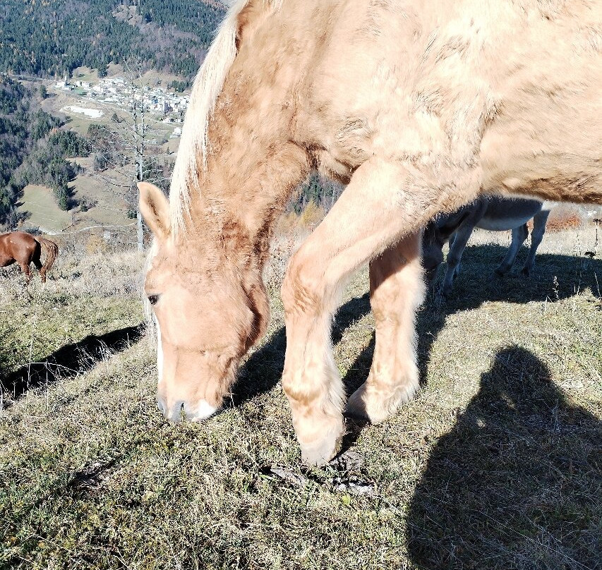 Albergo Ristorante Forte Cherle主图