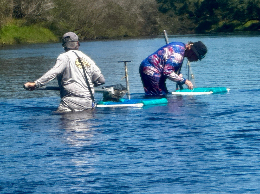 Fossil Junkies, Llc-Alva必去景点