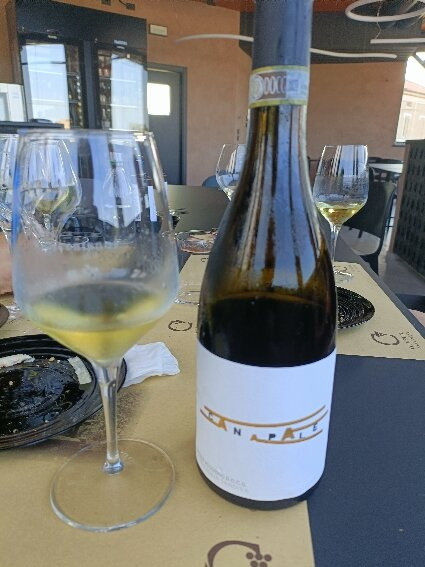 Cantina Centianni-Montefiore dell'Aso必去景点