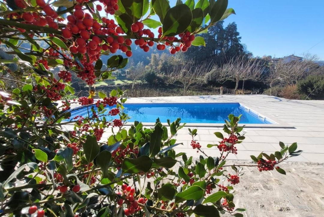 Casa Dos Strecht's主图