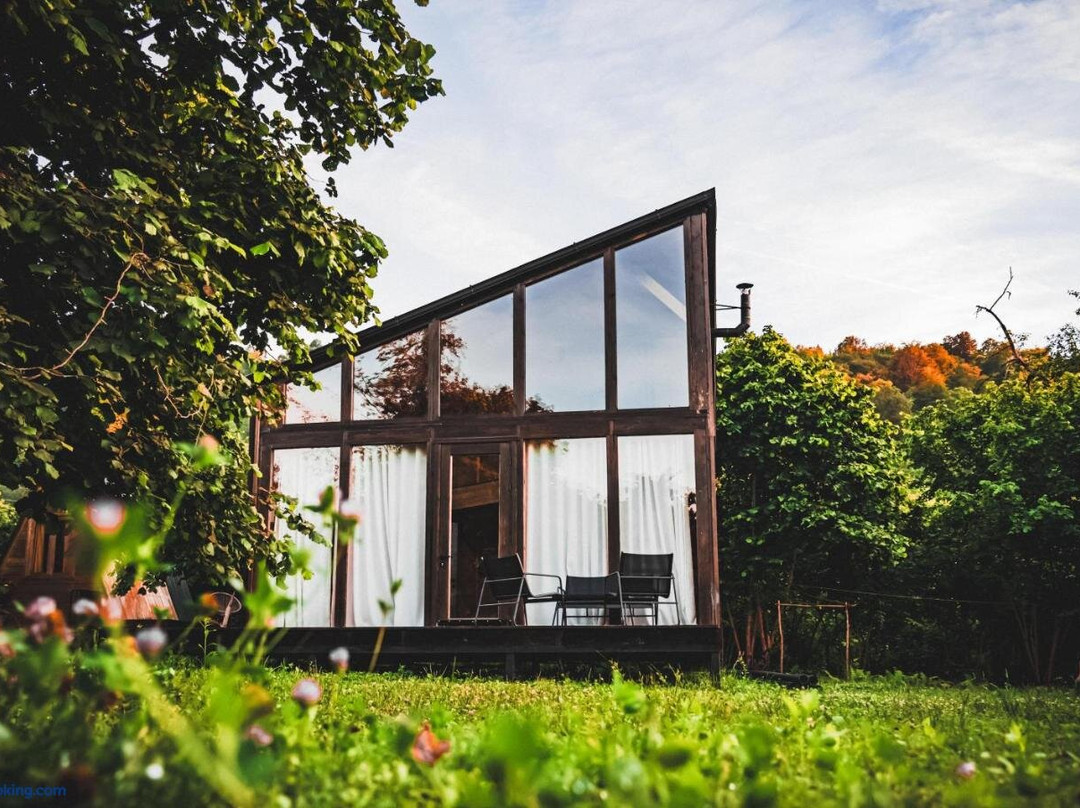 Dumbo Eco Camp