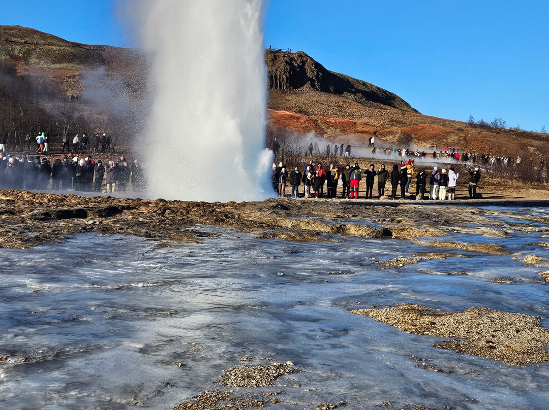 Activity Iceland-雷克雅未克必去景点