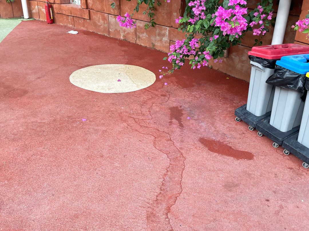 Yasmin Bodrum Resort主图