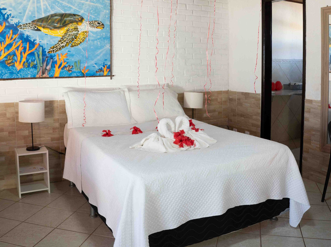 Praia das Tartarugas主图