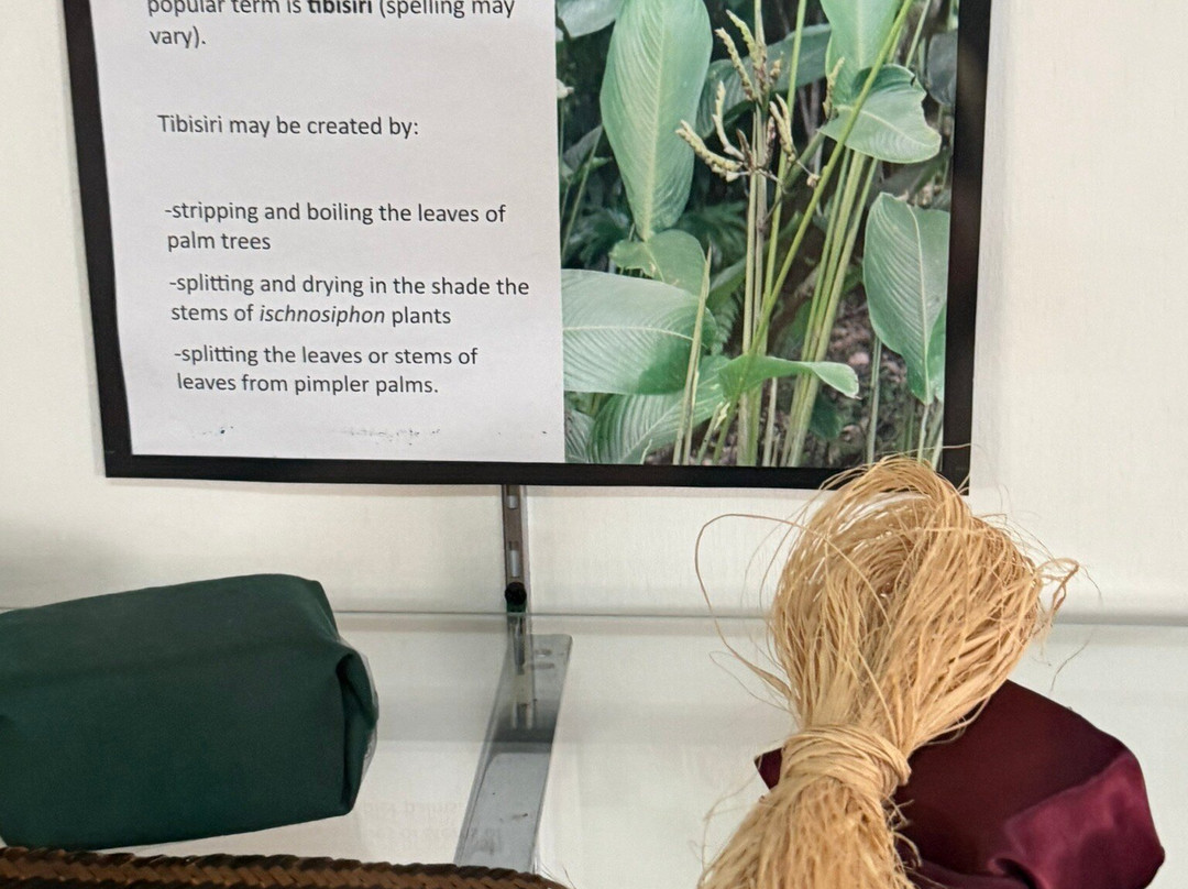 Walter Roth Museum of Anthropology-乔治城必去景点