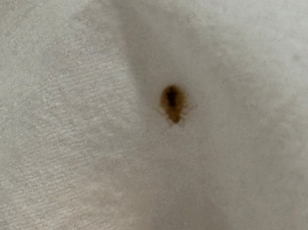 Travelodge Camberley主图