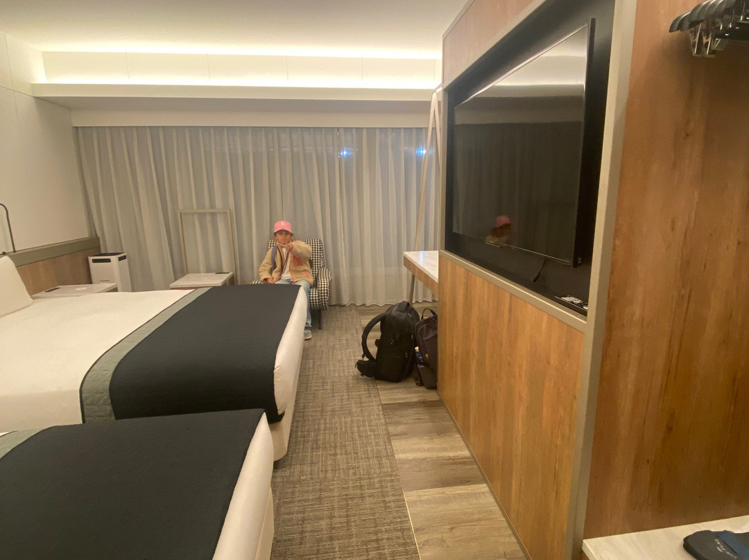 HOTEL THE FLAG Shinsaibashi主图