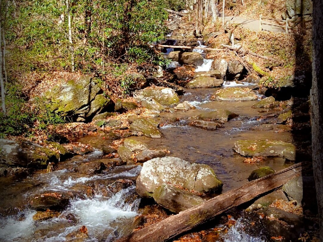Anna Ruby Falls-海伦必去景点