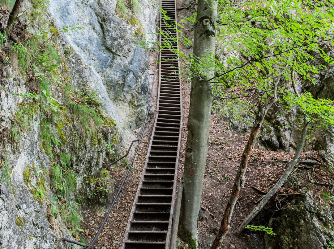 Mala Osojnica-布莱德必去景点