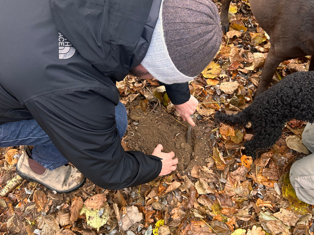 Scilla Truffle Hunting-Castelnuovo Don Bosco必去景点