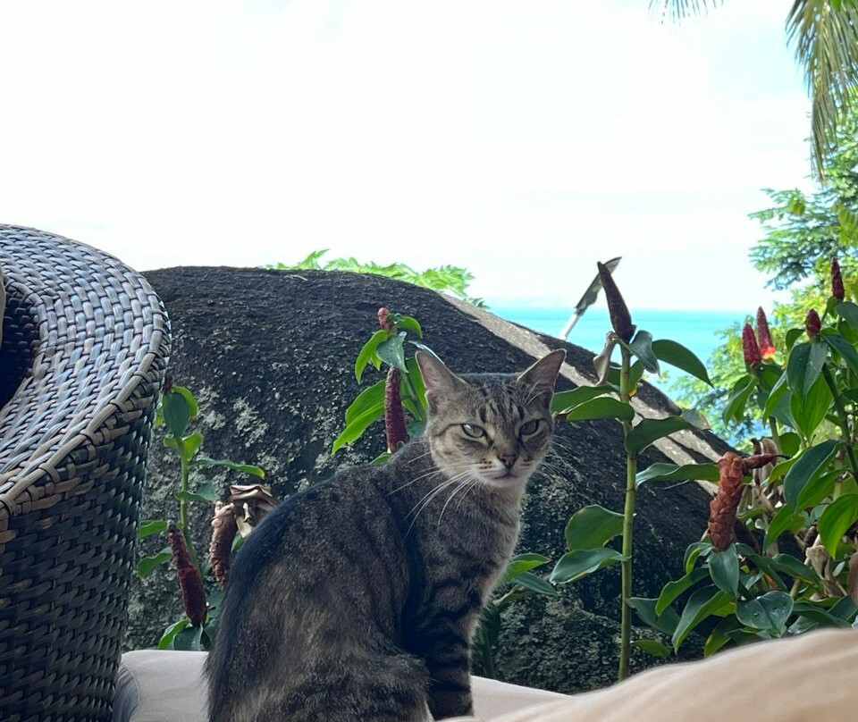 卡拉纳山顶别墅主图