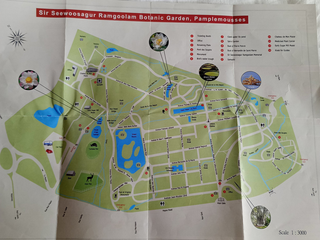 Sir Seewoosagur Ramgoolam Botanical Garden-庞波慕斯必去景点