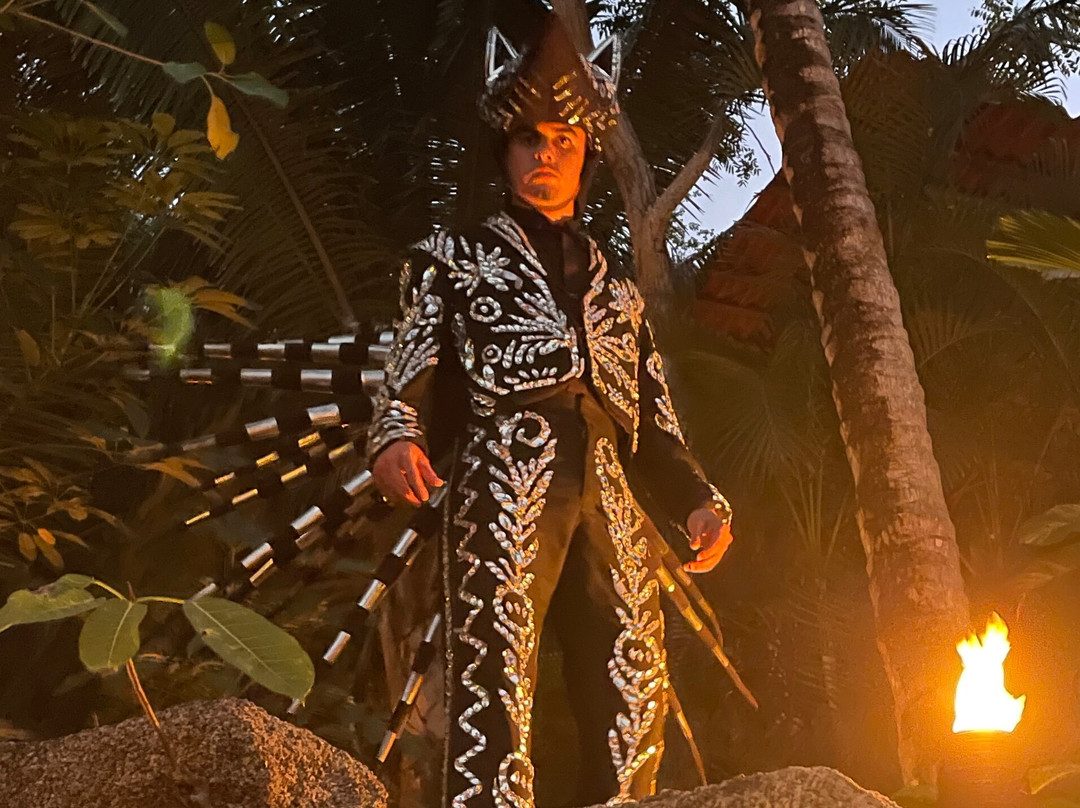 Rhythms of the Night by Vallarta Adventures-瓦拉塔港必去景点