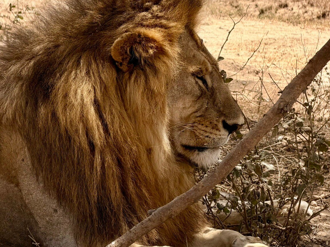 Tanzania-Experience-阿鲁沙必去景点