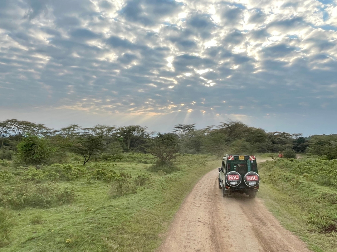 Mega Wild Safaris-坎帕拉必去景点