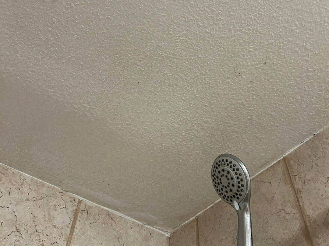 Wingate by Wyndham Valdosta/Moody AFB主图