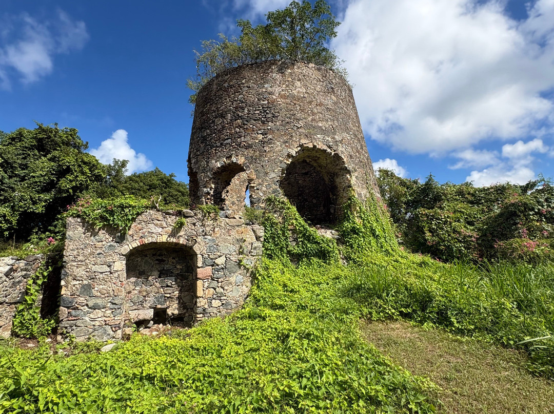 Carambola Zip Line-Frederiksted必去景点