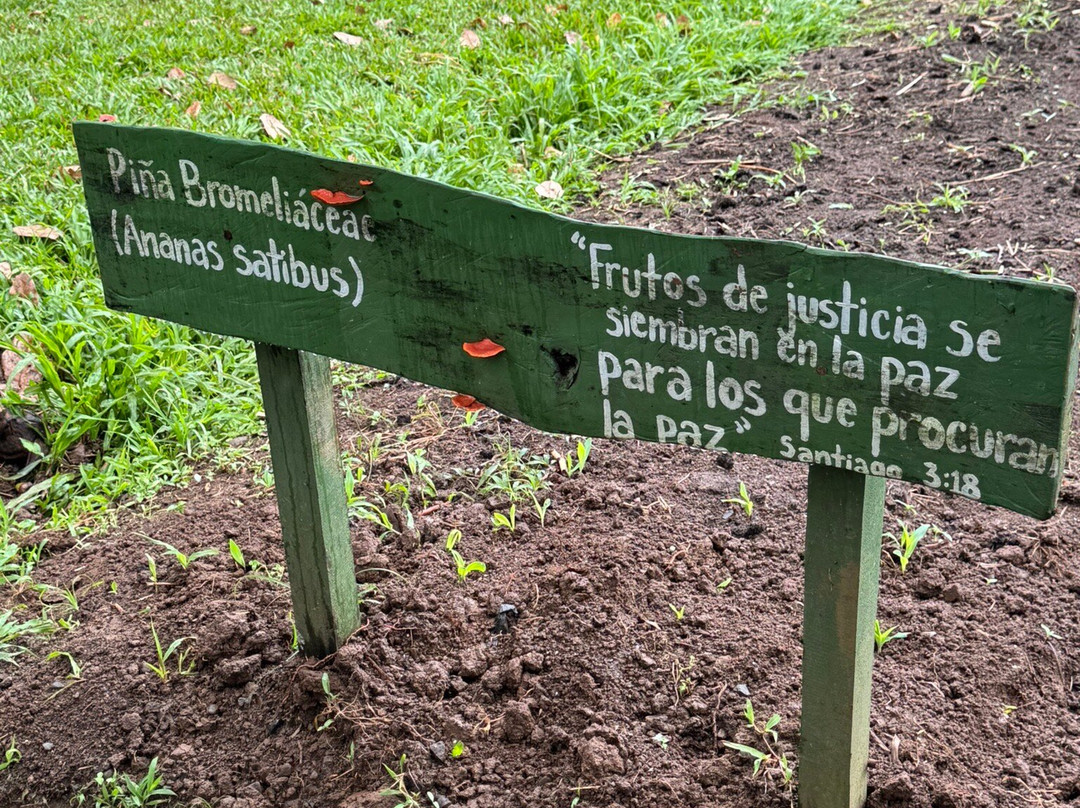 Finca Ecoorganica Sarapiqui-La Virgen必去景点