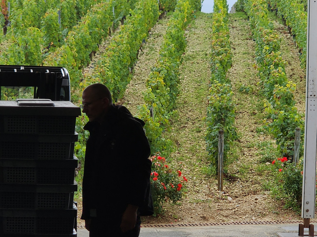 Château Malartic-Lagravière-Leognan必去景点