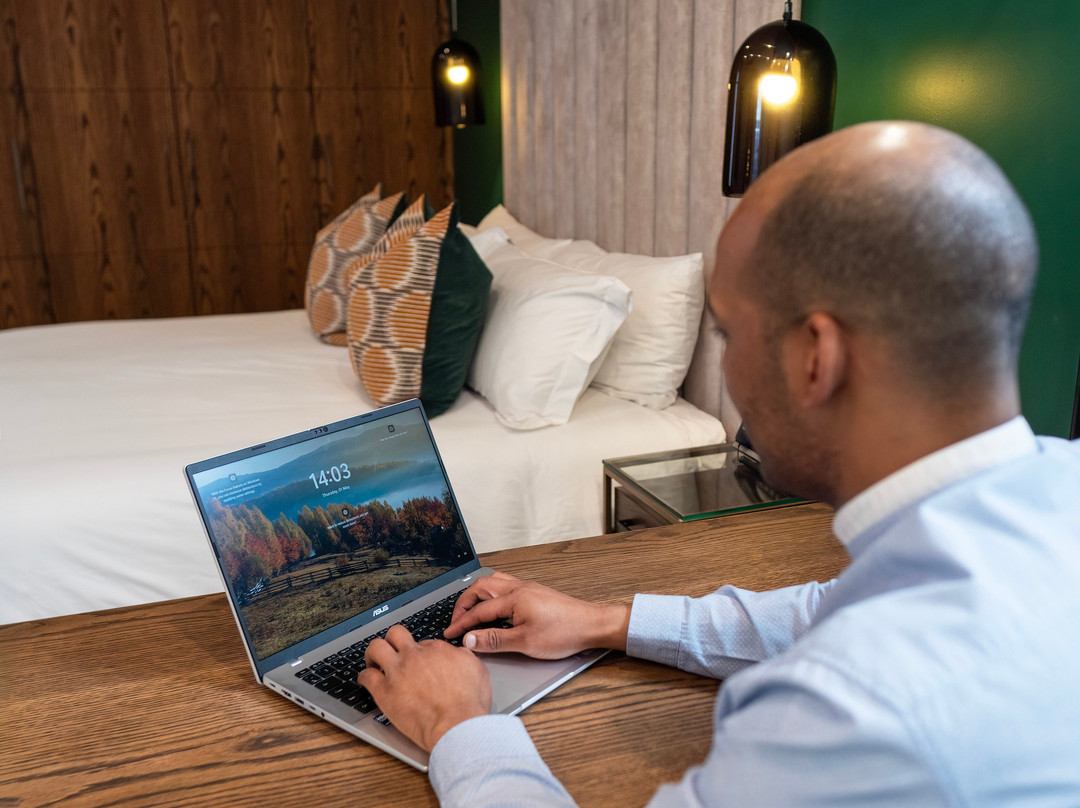 Sanctuary Mandela主图