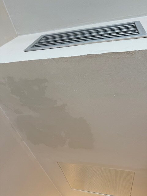 Princess Taurito主图