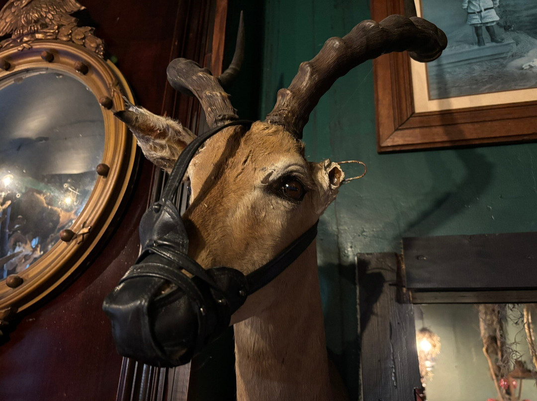 外伯城-坦帕必去景点