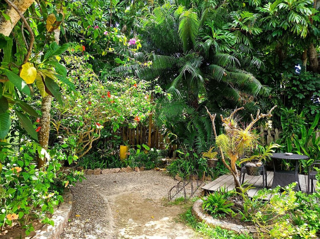 Pension Michel主图