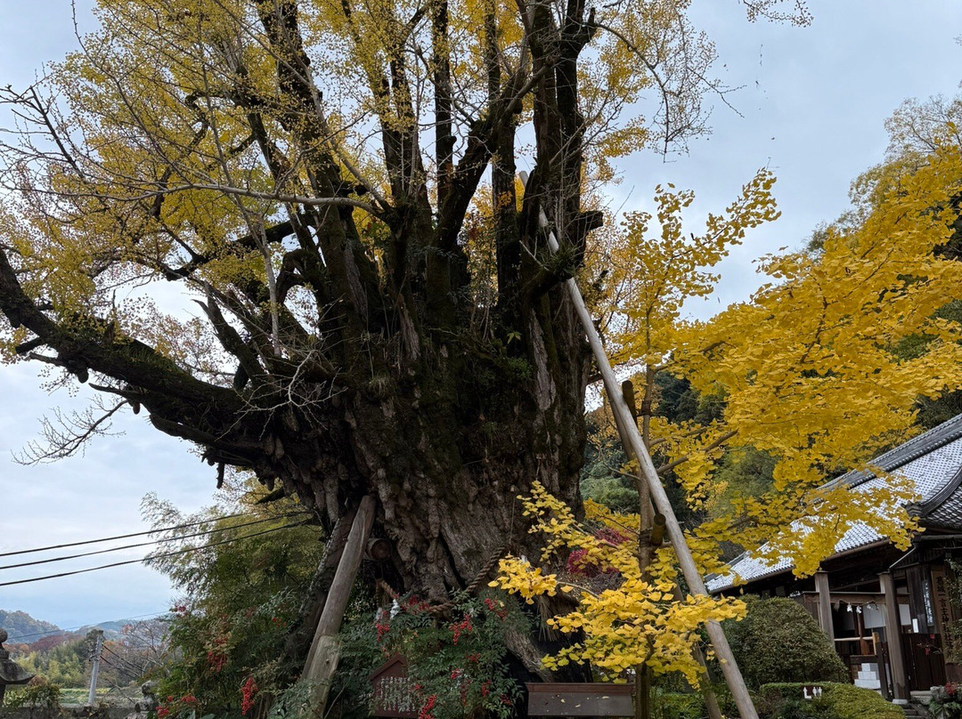Katsuragi Hitokotonushi Shrine-御所市必去景点