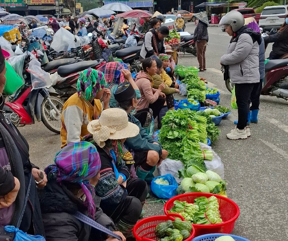 Capannam Travel-河内必去景点