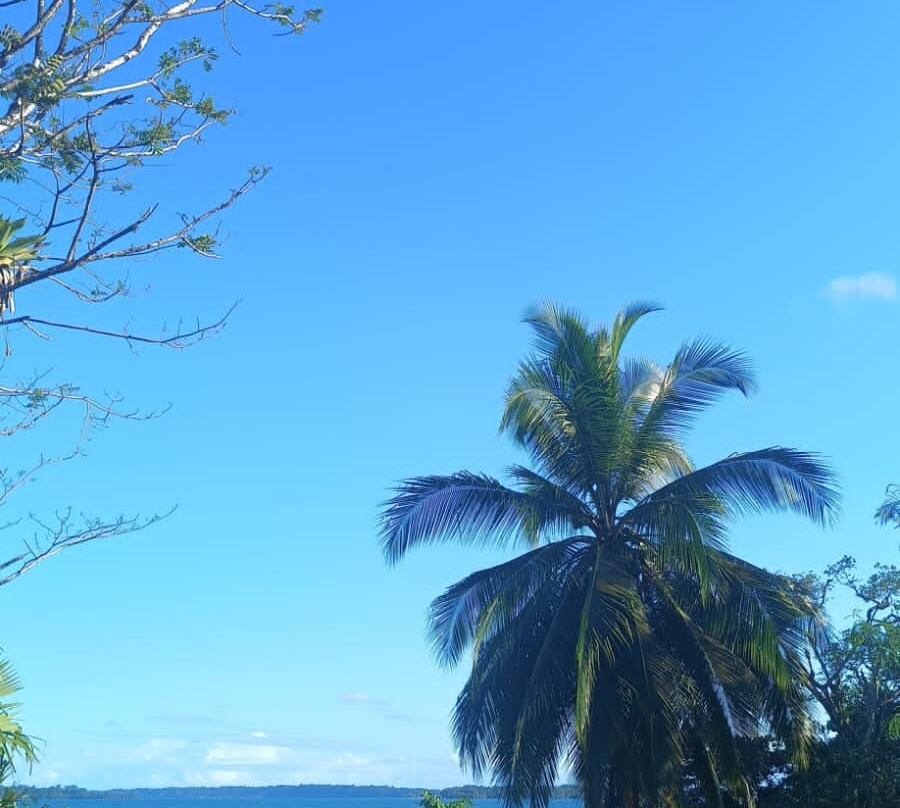 La Coralina Island House主图