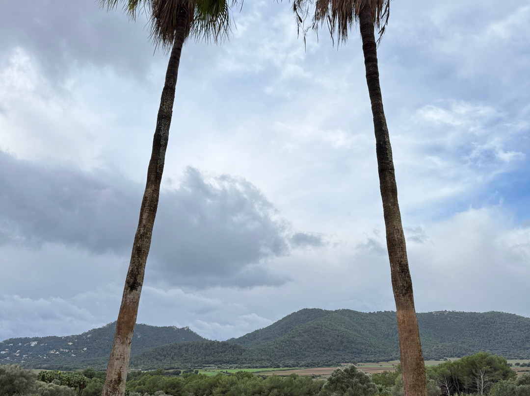 Golfschule Michel Monnard-卡普德佩拉必去景点