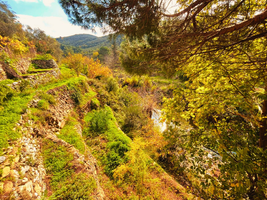Kybele Nature Life