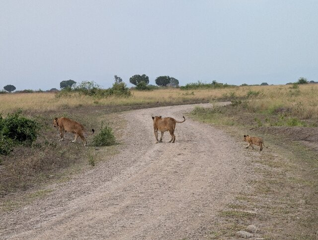 Kabaffulo Safaris-Katunguru必去景点