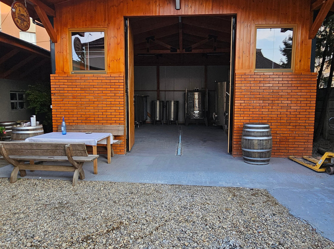 Crama Takacs Pinceszet-Aiud必去景点