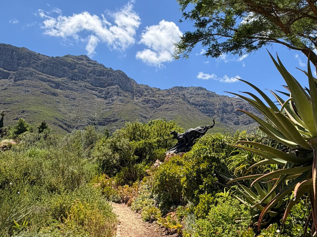 Dylan Lewis Sculpture  Garden-斯泰伦博斯必去景点