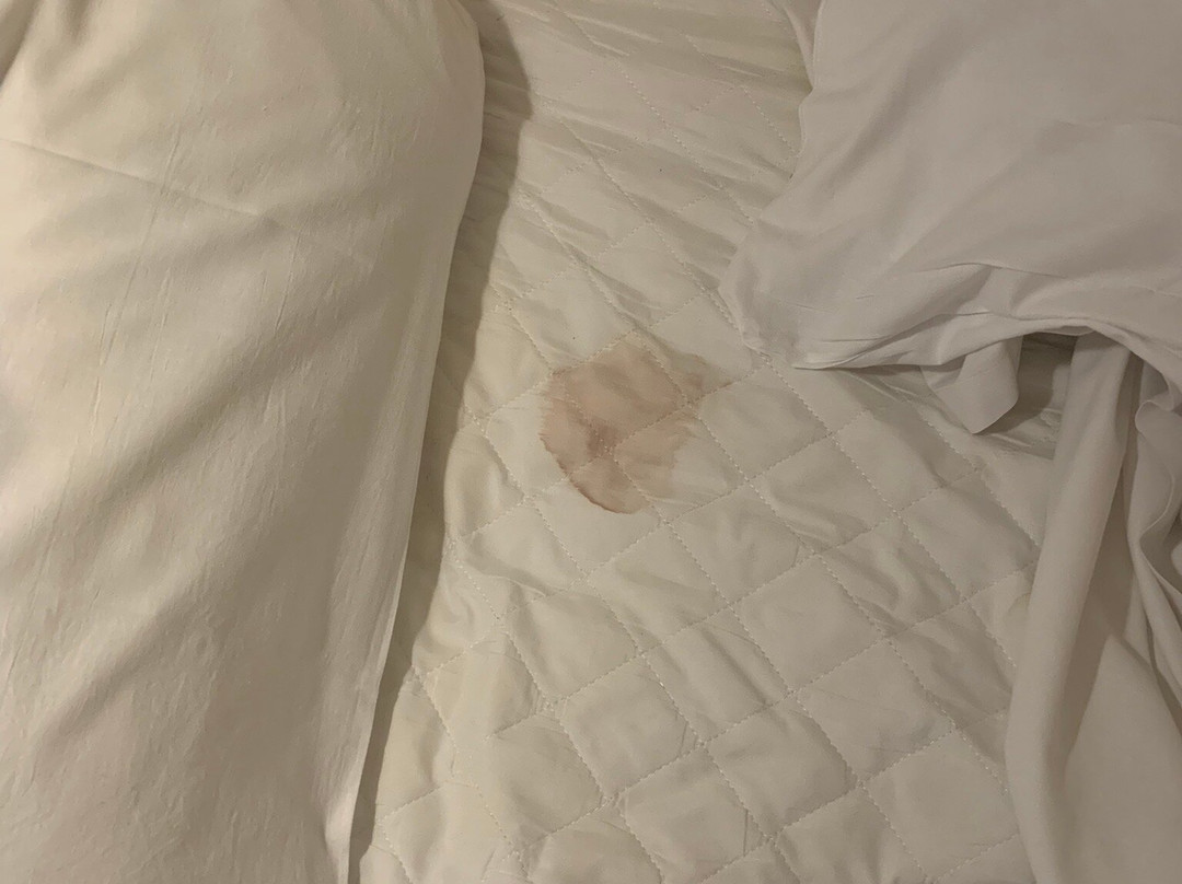 Travelodge Newcastle Gosforth主图