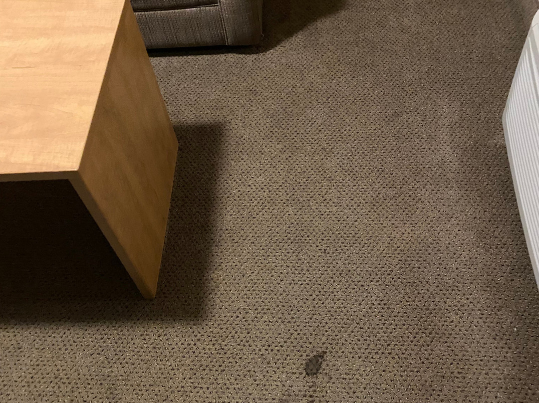 桑德贝戴斯套房酒店主图