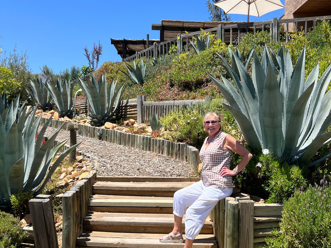 Villard Fine Wines-卡萨布兰卡必去景点