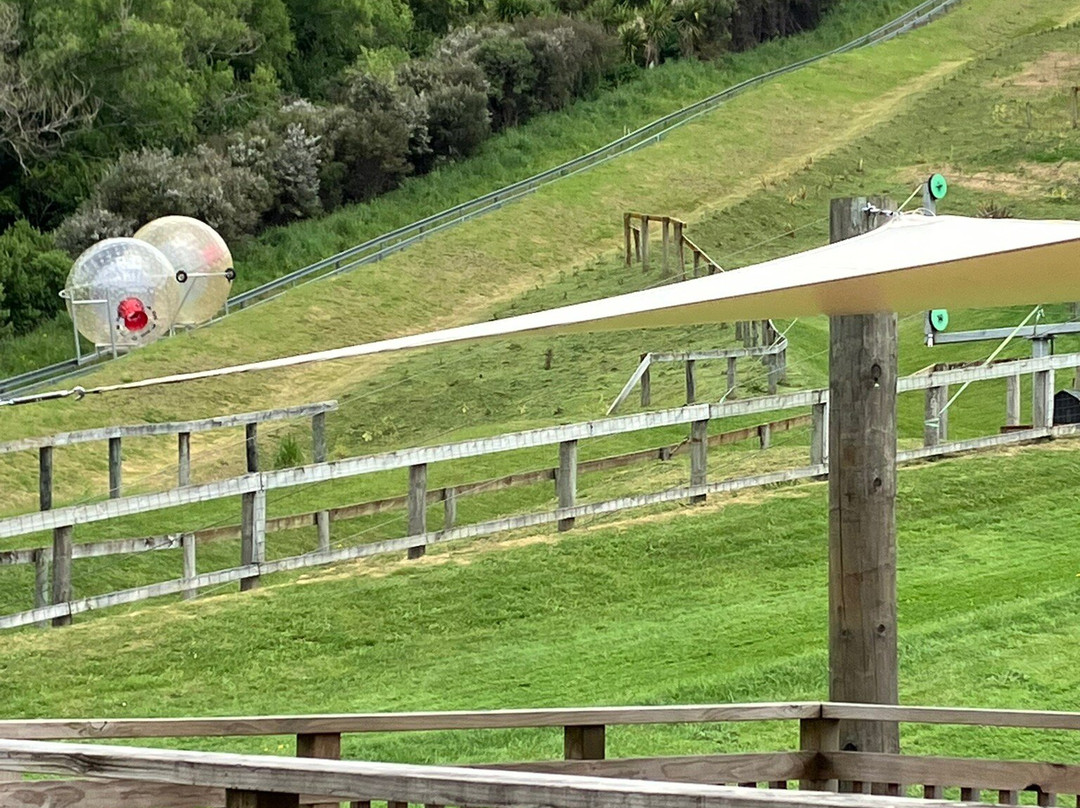 罗托鲁瓦OGO悠波球体验-罗托鲁瓦必去景点