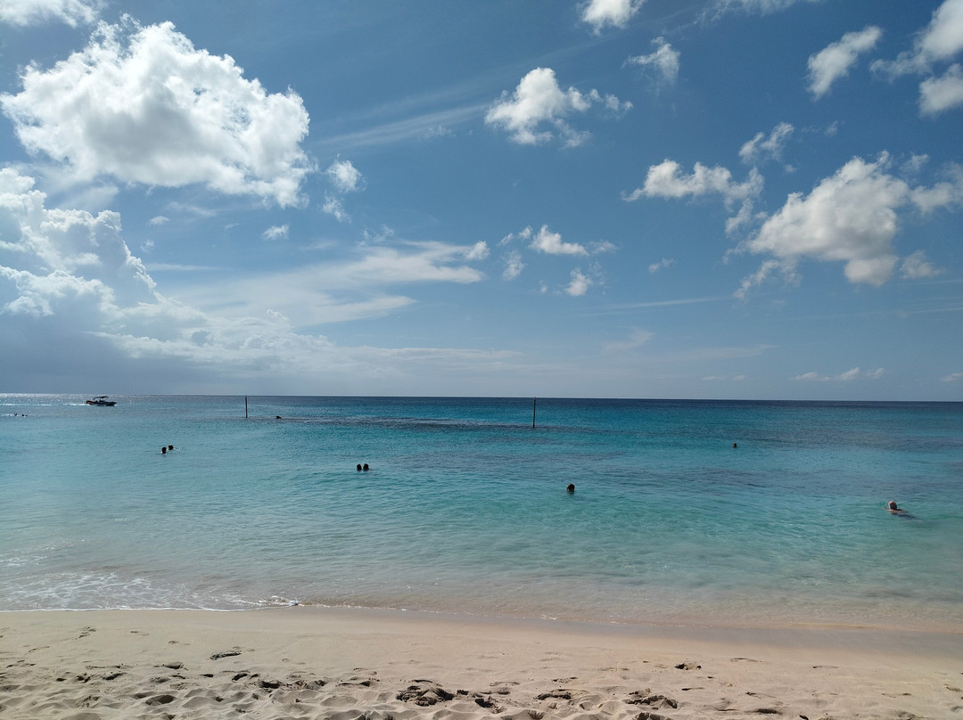 Heywoods Beach-Speightstown必去景点