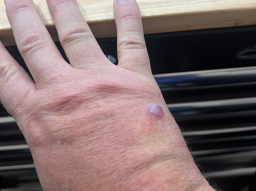 La Quinta by Wyndham Lebanon主图