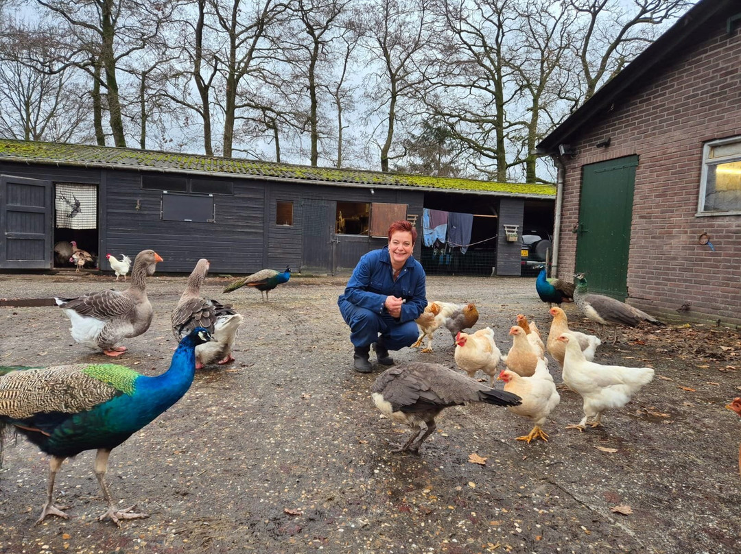 De Knuffelboerderij-Uddel必去景点