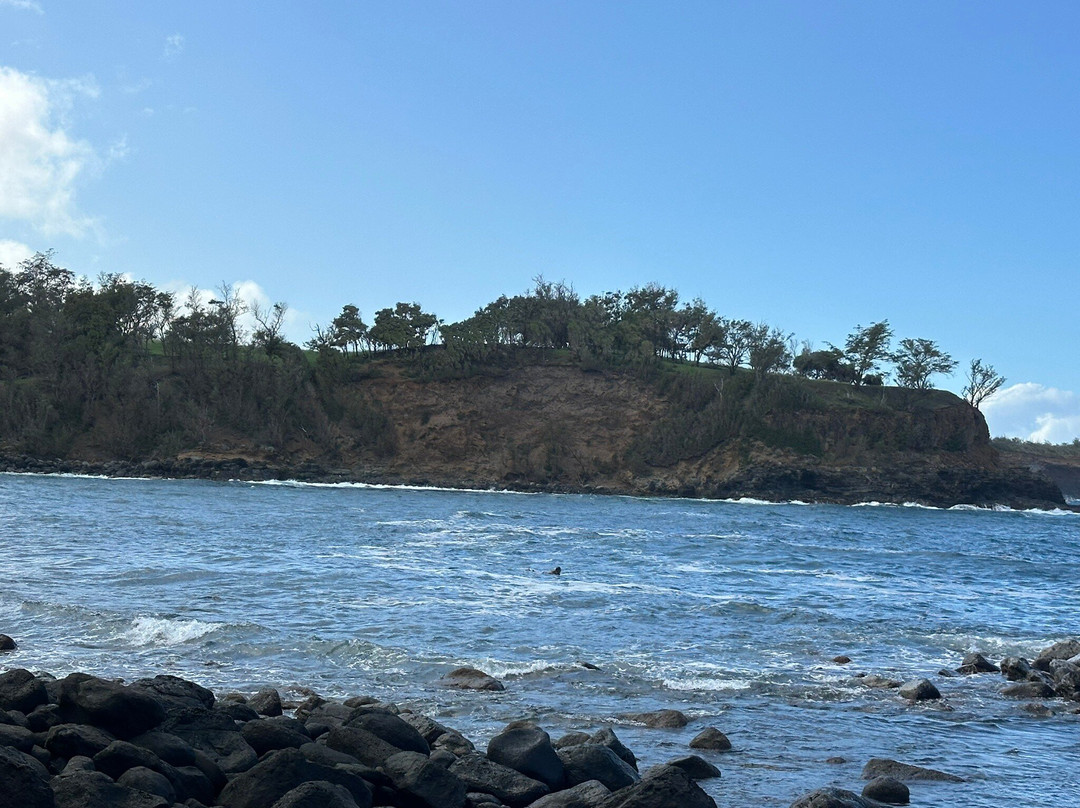 Keokea Beach Park-卡帕奥必去景点