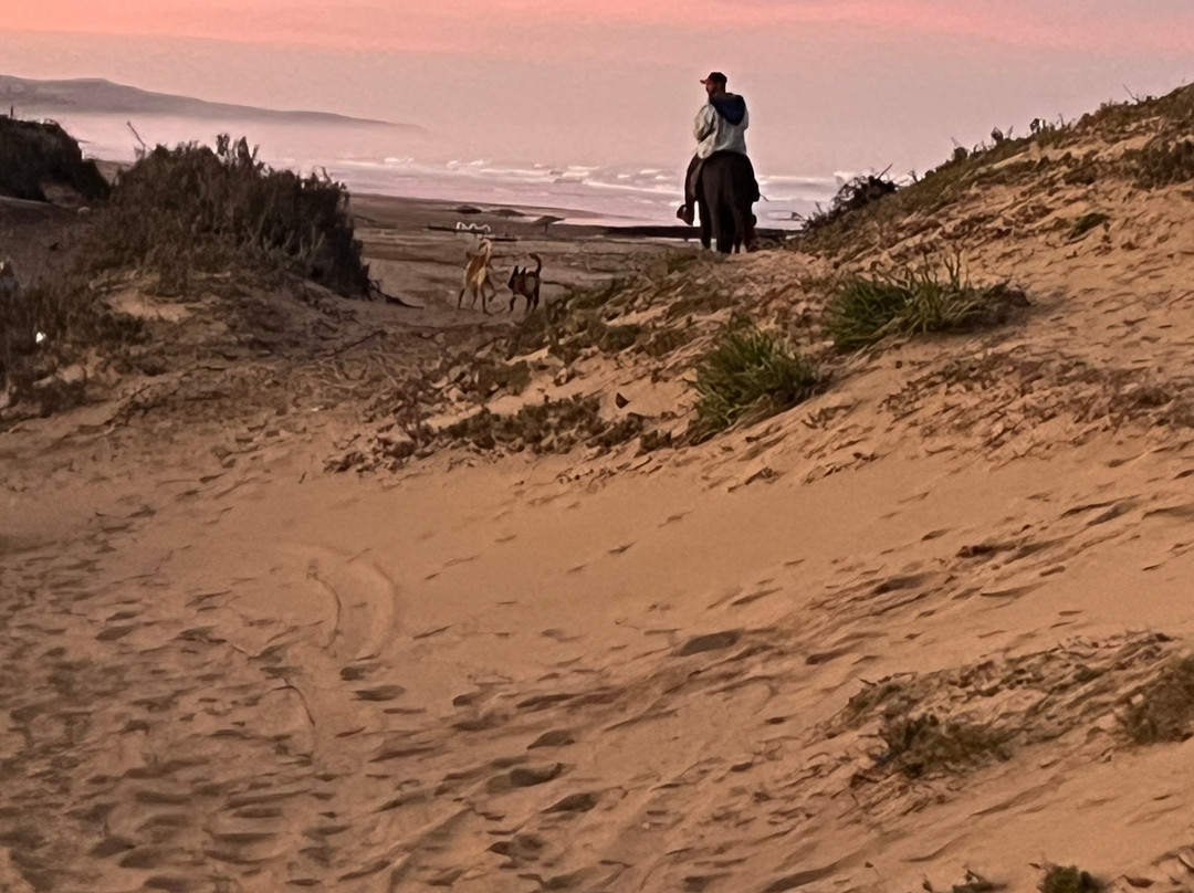 Cheval Essaouira-索维拉必去景点